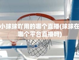 小球球吖用的哪个直播(球球在哪个平台直播吗)