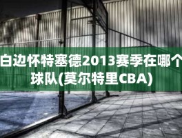 白边怀特塞德2013赛季在哪个球队(莫尔特里CBA)