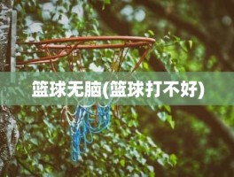 篮球无脑(篮球打不好)