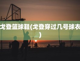 戈登篮球鞋(戈登穿过几号球衣)