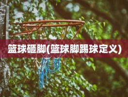 篮球砸脚(篮球脚踢球定义)