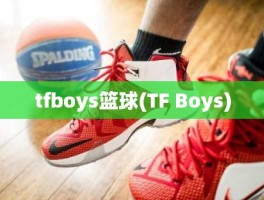 tfboys篮球(TF Boys)