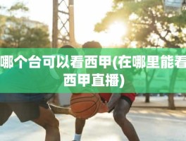 哪个台可以看西甲(在哪里能看西甲直播)