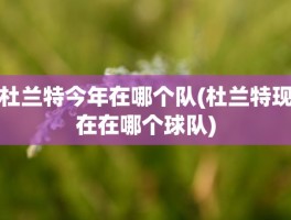 杜兰特今年在哪个队(杜兰特现在在哪个球队)