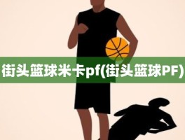 街头篮球米卡pf(街头篮球PF)