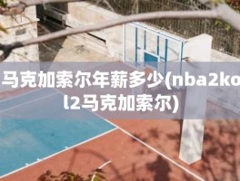 马克加索尔年薪多少(nba2kol2马克加索尔)