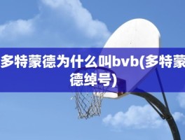 多特蒙德为什么叫bvb(多特蒙德绰号)