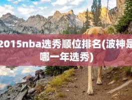 2015nba选秀顺位排名(波神是哪一年选秀)