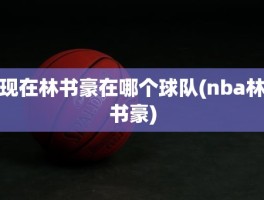 现在林书豪在哪个球队(nba林书豪)