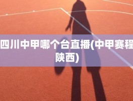 四川中甲哪个台直播(中甲赛程陕西)