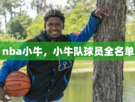 nba小牛，小牛队球员全名单