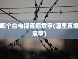 哪个台电视直播意甲(哪里直播意甲)