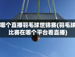 哪个直播羽毛球世锦赛(羽毛球比赛在哪个平台看直播)