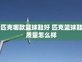 匹克哪款篮球鞋好 匹克篮球鞋质量怎么样