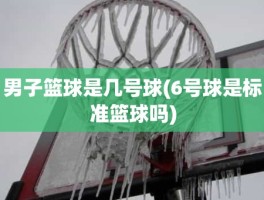 男子篮球是几号球(6号球是标准篮球吗)