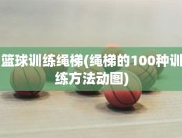 篮球训练绳梯(绳梯的100种训练方法动图)