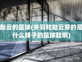 赵云的篮球(关羽和赵云穿的是什么牌子的篮球鞋啊)