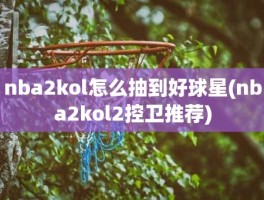 nba2kol怎么抽到好球星(nba2kol2控卫推荐)