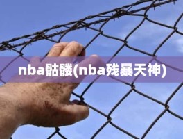 nba骷髅(nba残暴天神)