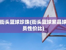 街头篮球珍珠(街头篮球紫晶球员性价比)