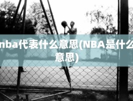 nba代表什么意思(NBA是什么意思)