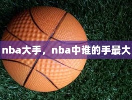 nba大手，nba中谁的手最大