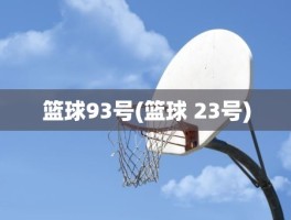 篮球93号(篮球 23号)