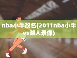 nba小牛改名(2011nba小牛vs湖人录像)