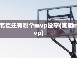 韦德还有哪个mvp没拿(姚明mvp)