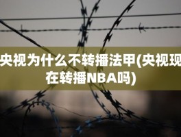 央视为什么不转播法甲(央视现在转播NBA吗)