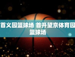 首义园篮球场 首开望京体育园篮球场