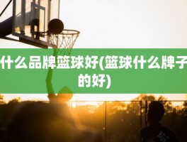 什么品牌篮球好(篮球什么牌子的好)