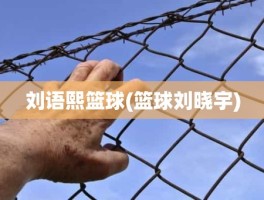 刘语熙篮球(篮球刘晓宇)