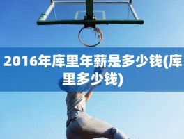 2016年库里年薪是多少钱(库里多少钱)