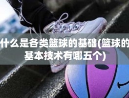 什么是各类篮球的基础(篮球的基本技术有哪五个)