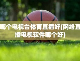 哪个电视台体育直播好(网络直播电视软件哪个好)