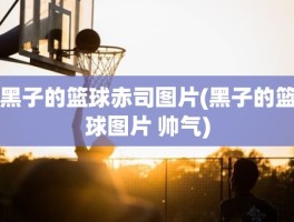 黑子的篮球赤司图片(黑子的篮球图片 帅气)