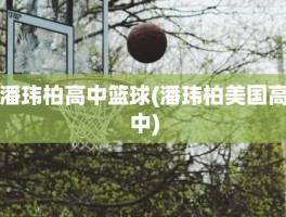 潘玮柏高中篮球(潘玮柏美国高中)