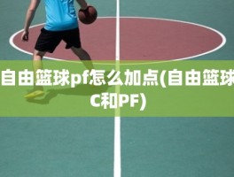 自由篮球pf怎么加点(自由篮球C和PF)