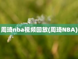 周琦nba视频回放(周琦NBA)