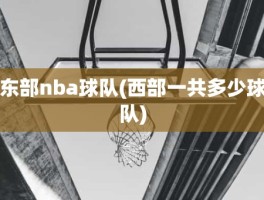 东部nba球队(西部一共多少球队)