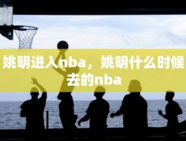 姚明进入nba，姚明什么时候去的nba