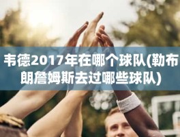 韦德2017年在哪个球队(勒布朗詹姆斯去过哪些球队)