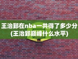 王治郅在nba一共得了多少分(王治郅巅峰什么水平)