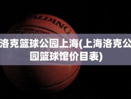 洛克篮球公园上海(上海洛克公园篮球馆价目表)