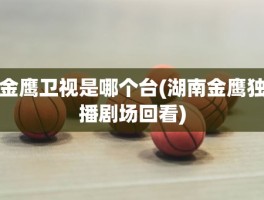 金鹰卫视是哪个台(湖南金鹰独播剧场回看)