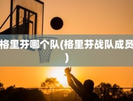格里芬哪个队(格里芬战队成员)