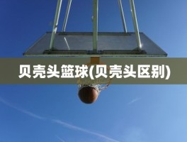 贝壳头篮球(贝壳头区别)