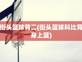 街头篮球背二(街头篮球科比背身上篮)