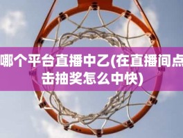 哪个平台直播中乙(在直播间点击抽奖怎么中快)